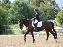 IMG_0612_web